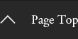 pagetop